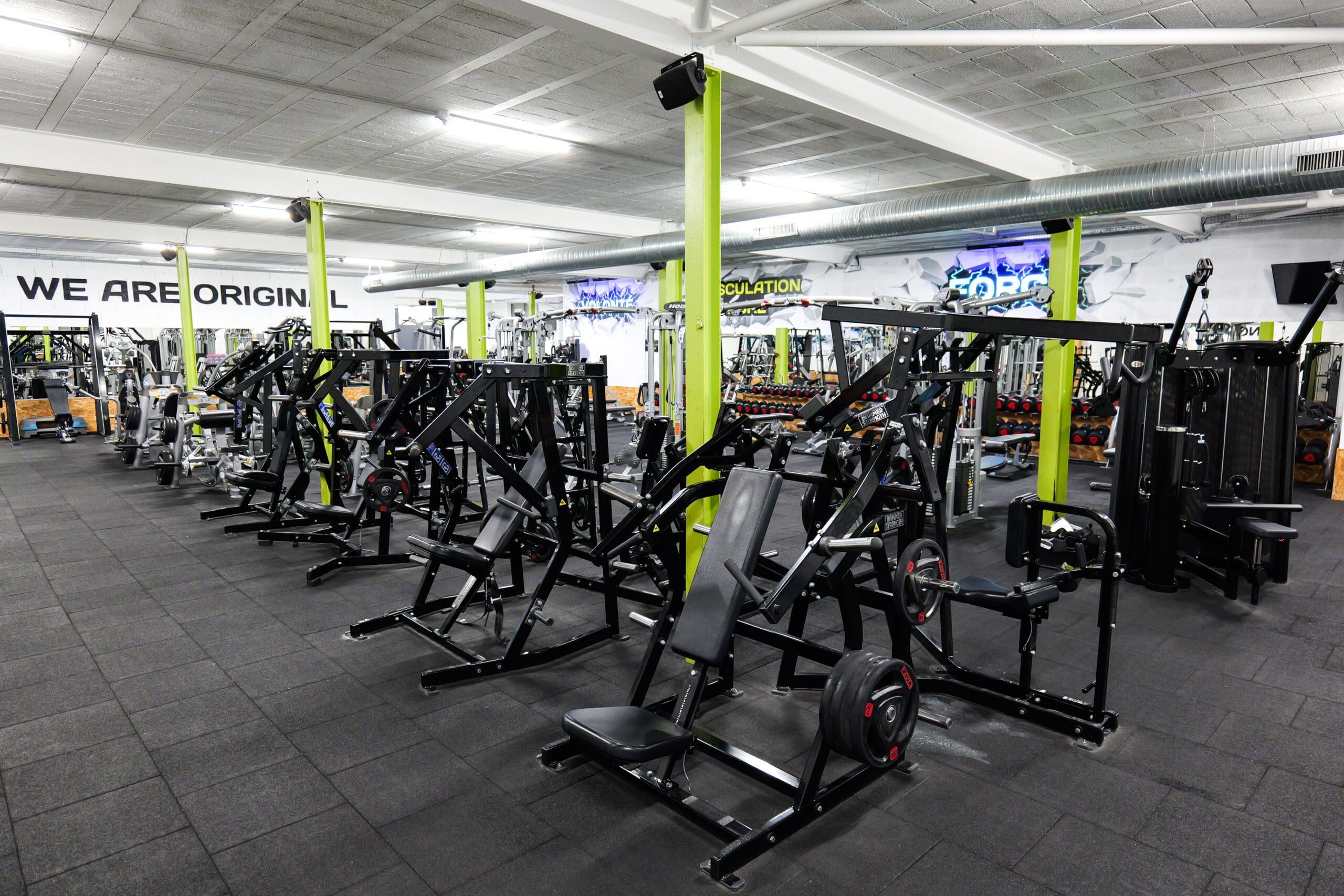 PLATEAU CARDIO / MUSCULATION